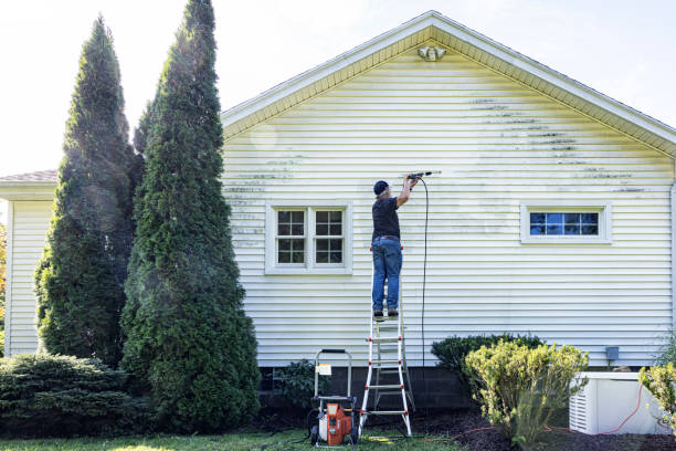 Best Soft Washing  in Rothsville, PA